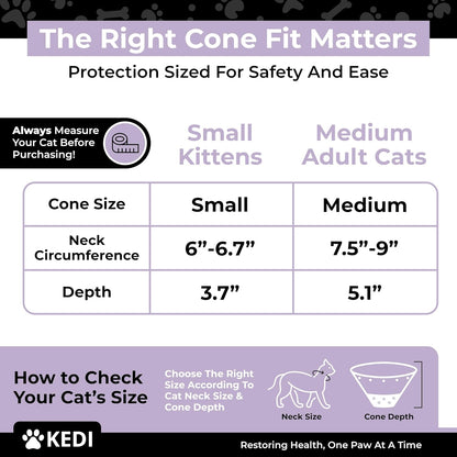 Cat wearing comfortable post surgical recovery suit and cone