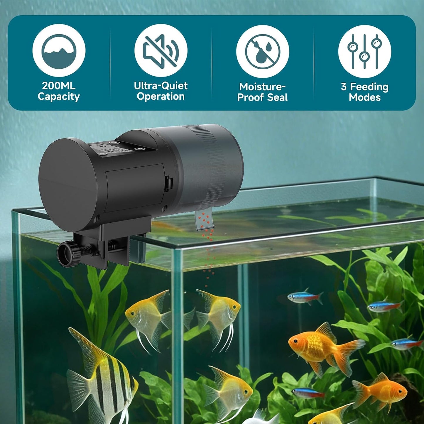 Programmable digital LCD timer display screen close up