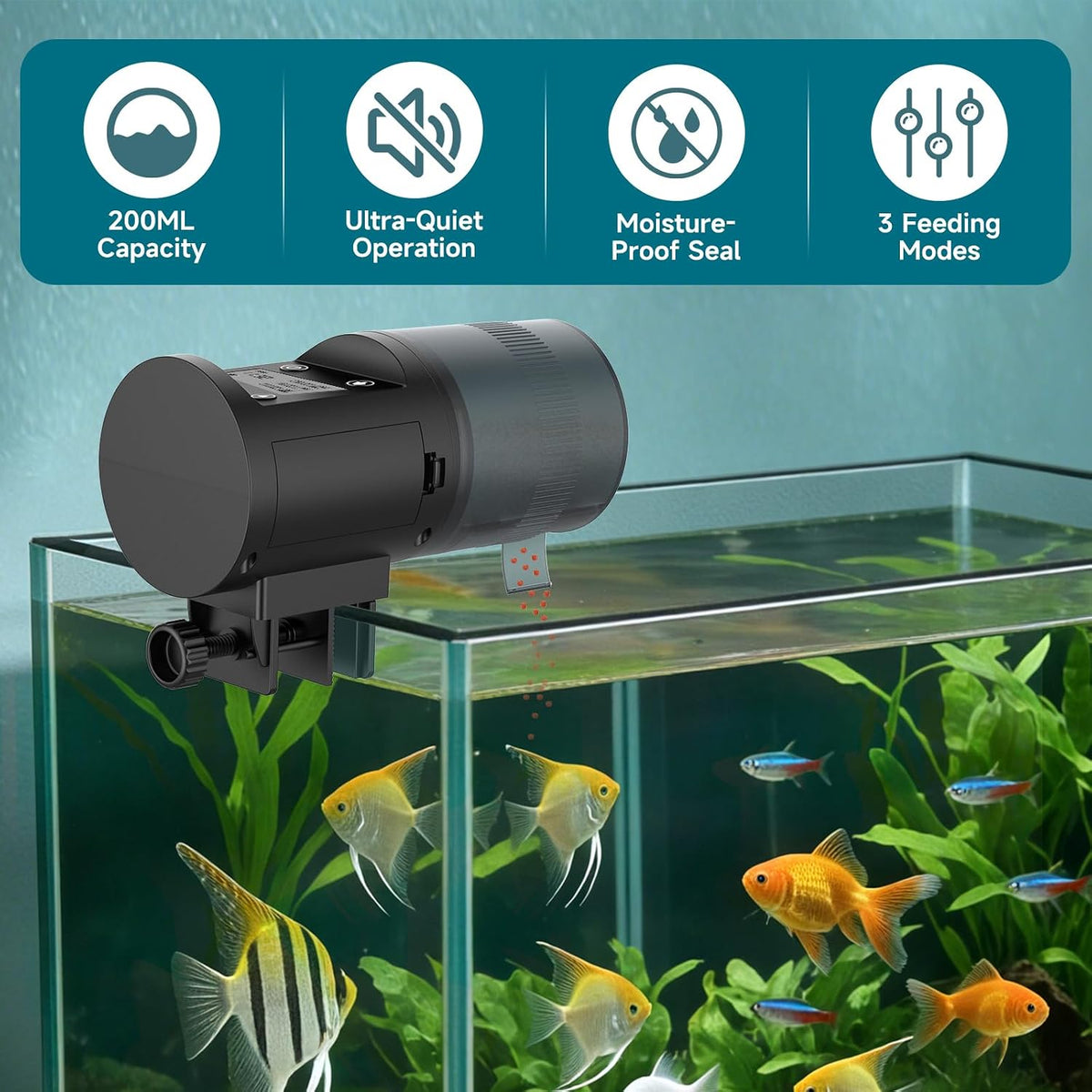 Programmable digital LCD timer display screen close up