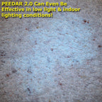 Close up view of the 21 LED lights inside the PeeDar blacklight detector