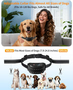 Remote control for dog training with digital display