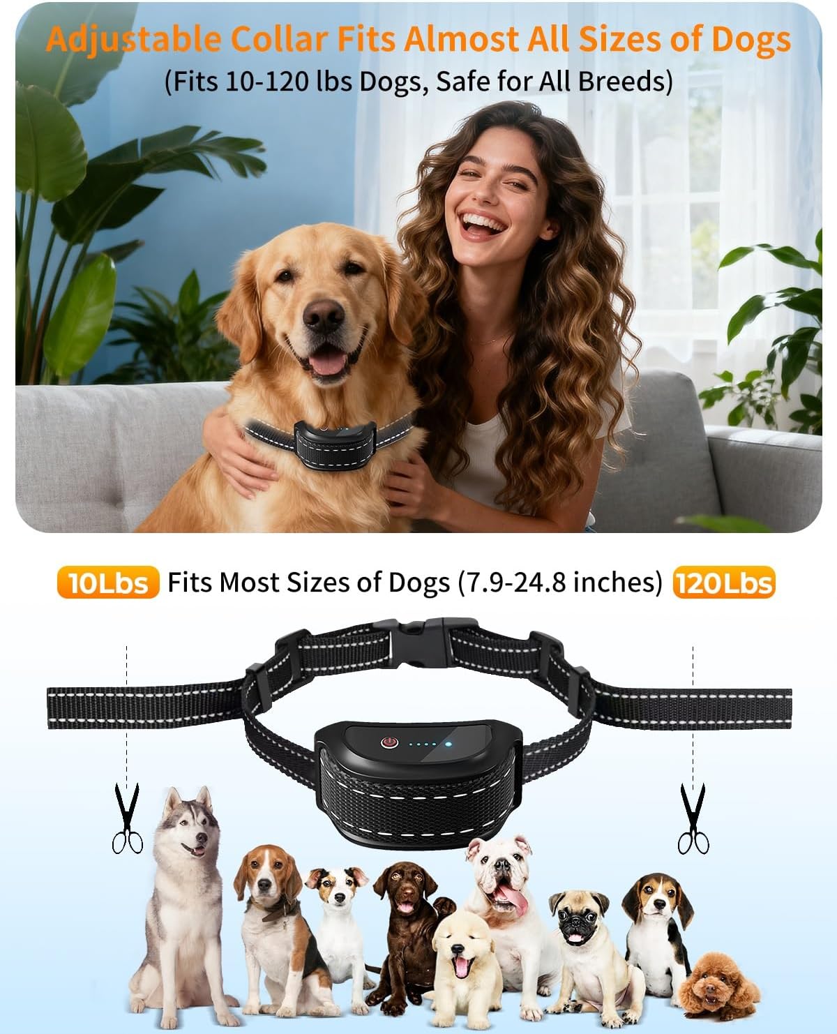 Remote control for dog training collar showing LCD screen