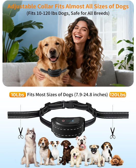 Remote control for dog training collar showing LCD screen