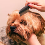 Side profile of blue Jianyi dog flea and tick remover