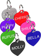 Size comparison of the large bone custom pet identification accessory for dogs.