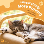 Cudory cat vitamins promoting digestive balance and healthy gut environment.