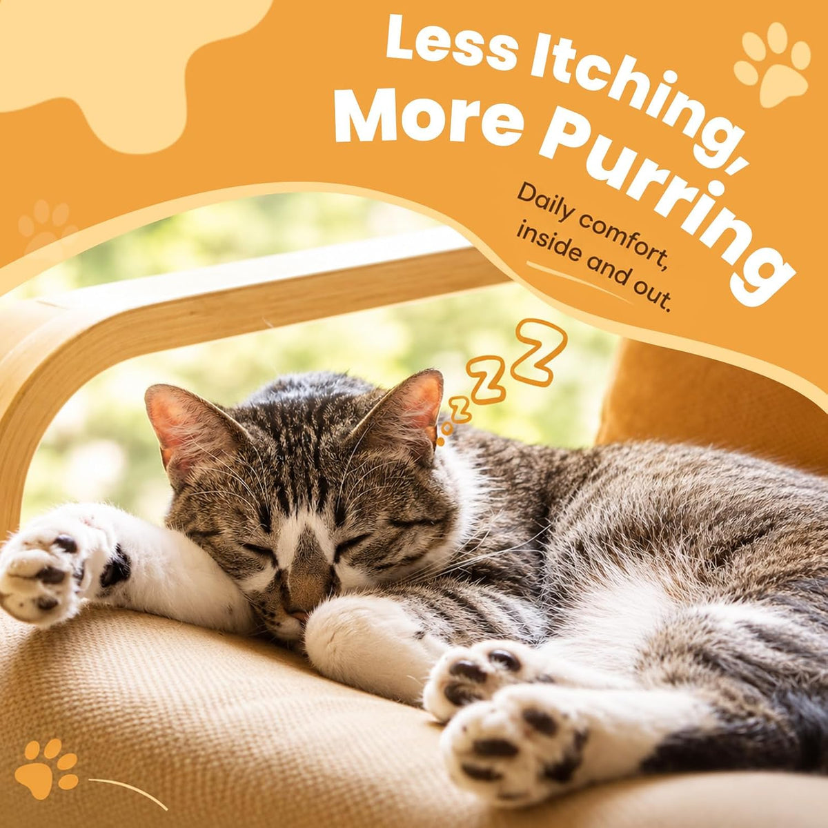 Cudory cat vitamins promoting digestive balance and healthy gut environment.