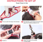 Escape proof cat walking vest with quick release buckle security feature