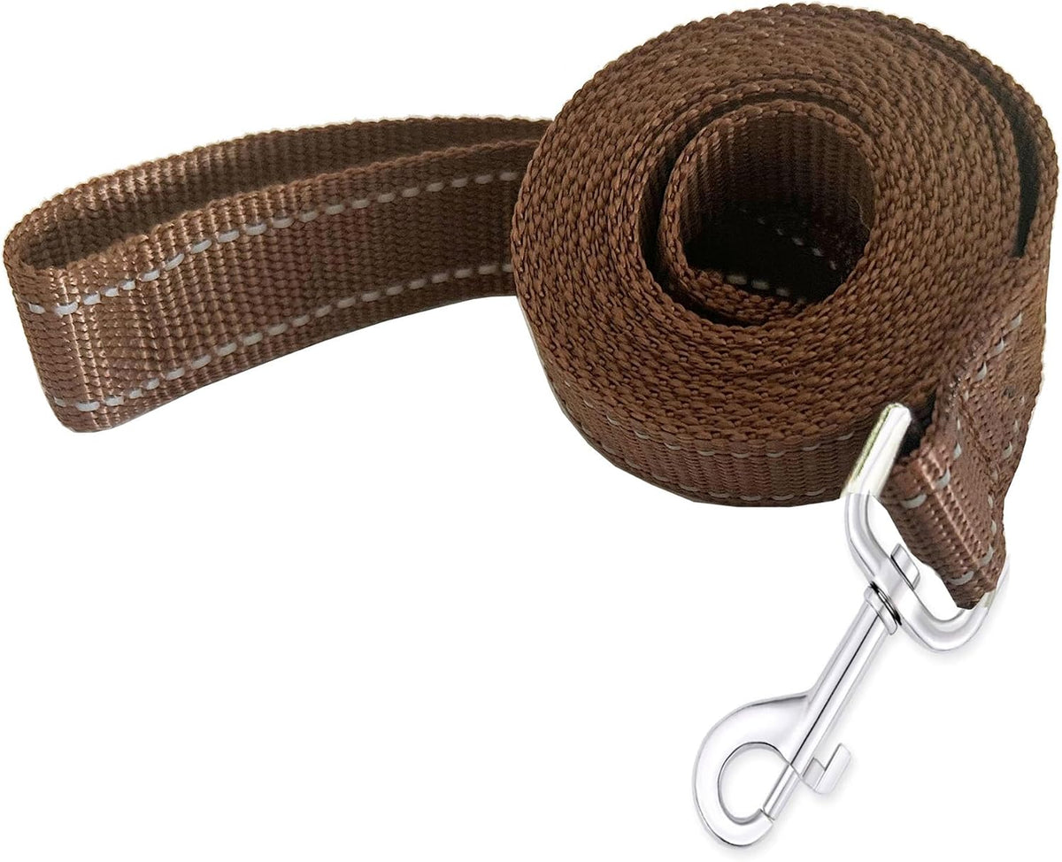 Taida imported pet traction leash attached to collar
