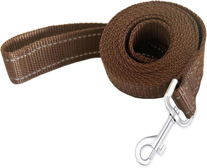 Taida imported pet traction leash attached to collar
