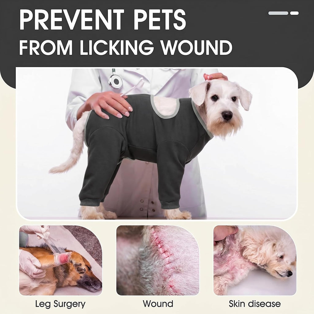 Dog wearing Idomik recovery suit for neuter surgery