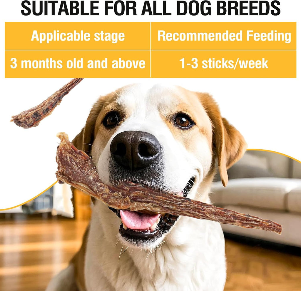GNKatze healthy dog bones for plaque and tartar reduction.