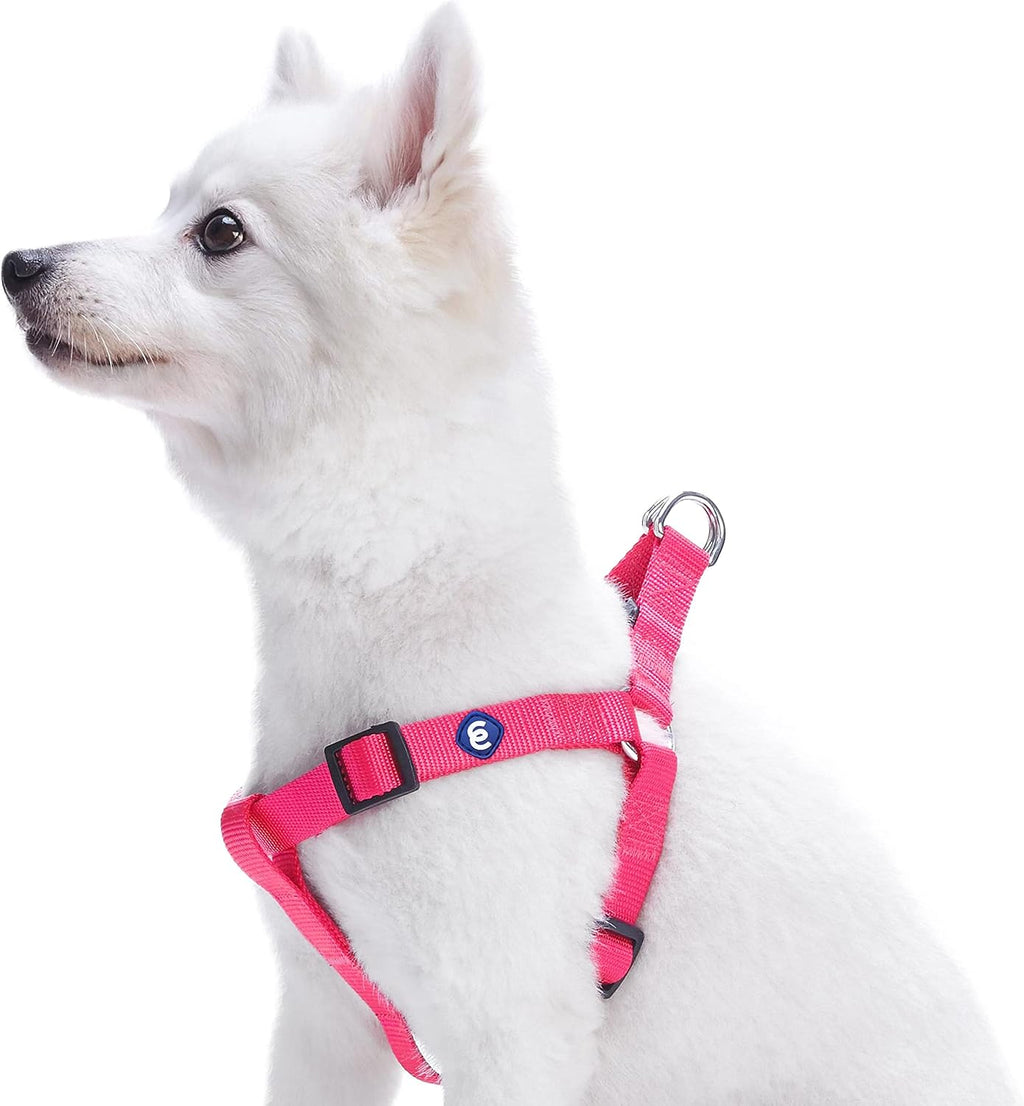 Blueberry Pet Essentials Step-in Dog Harness, Small Size | Adjustable Fired Brick Vest | Classic Solid Nylon for Boy & Girl Dogs, Chest Girth 16.5" - 21.5" - Image 14