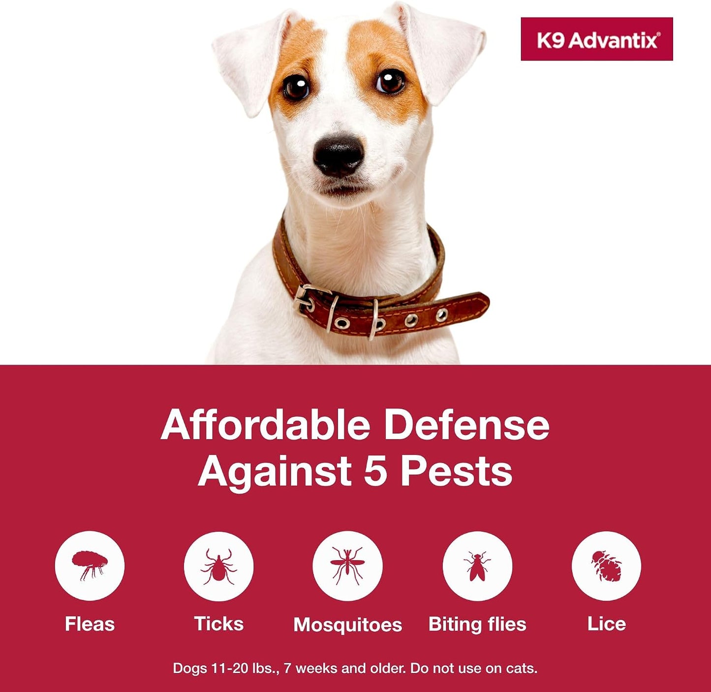 K9 Advantix eleven to twenty pounds medium dog pest control tubes