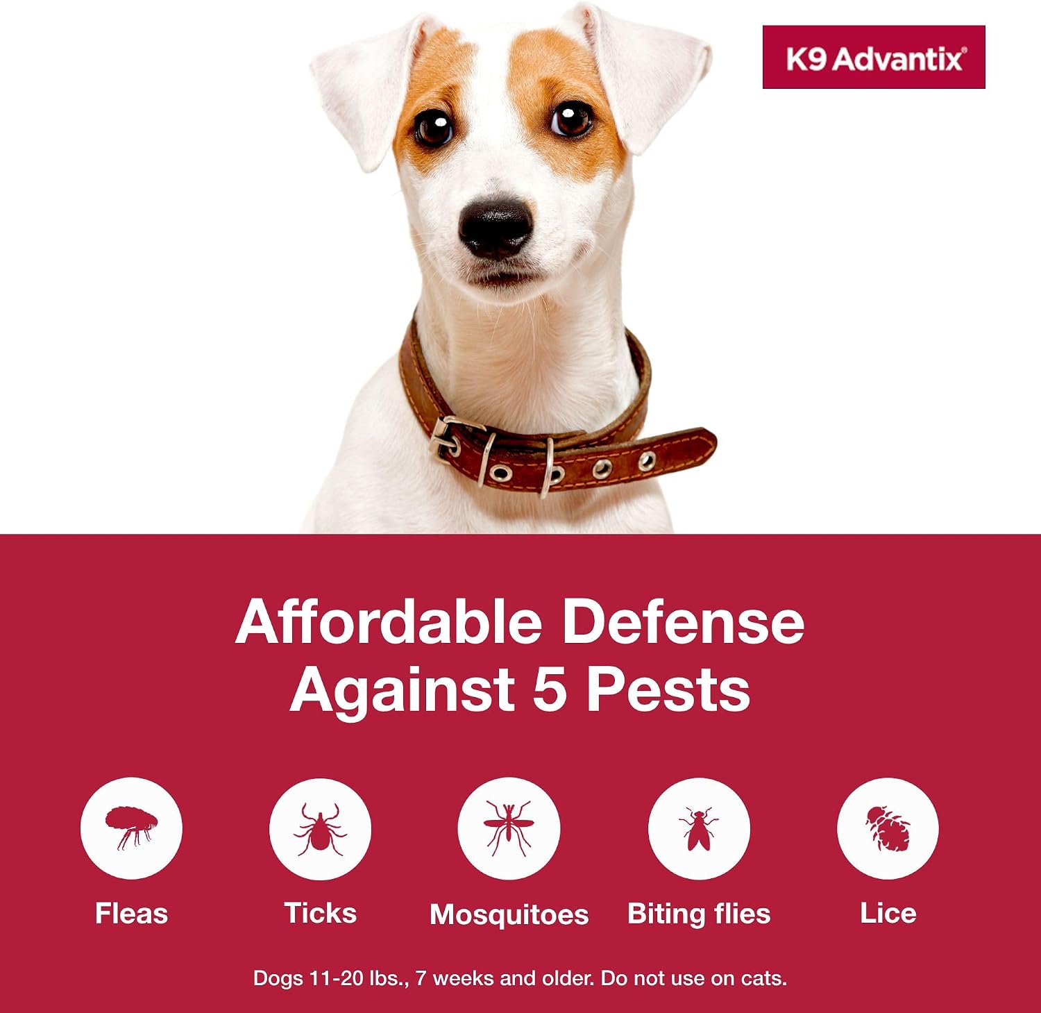 K9 Advantix eleven to twenty pounds medium dog pest control tubes