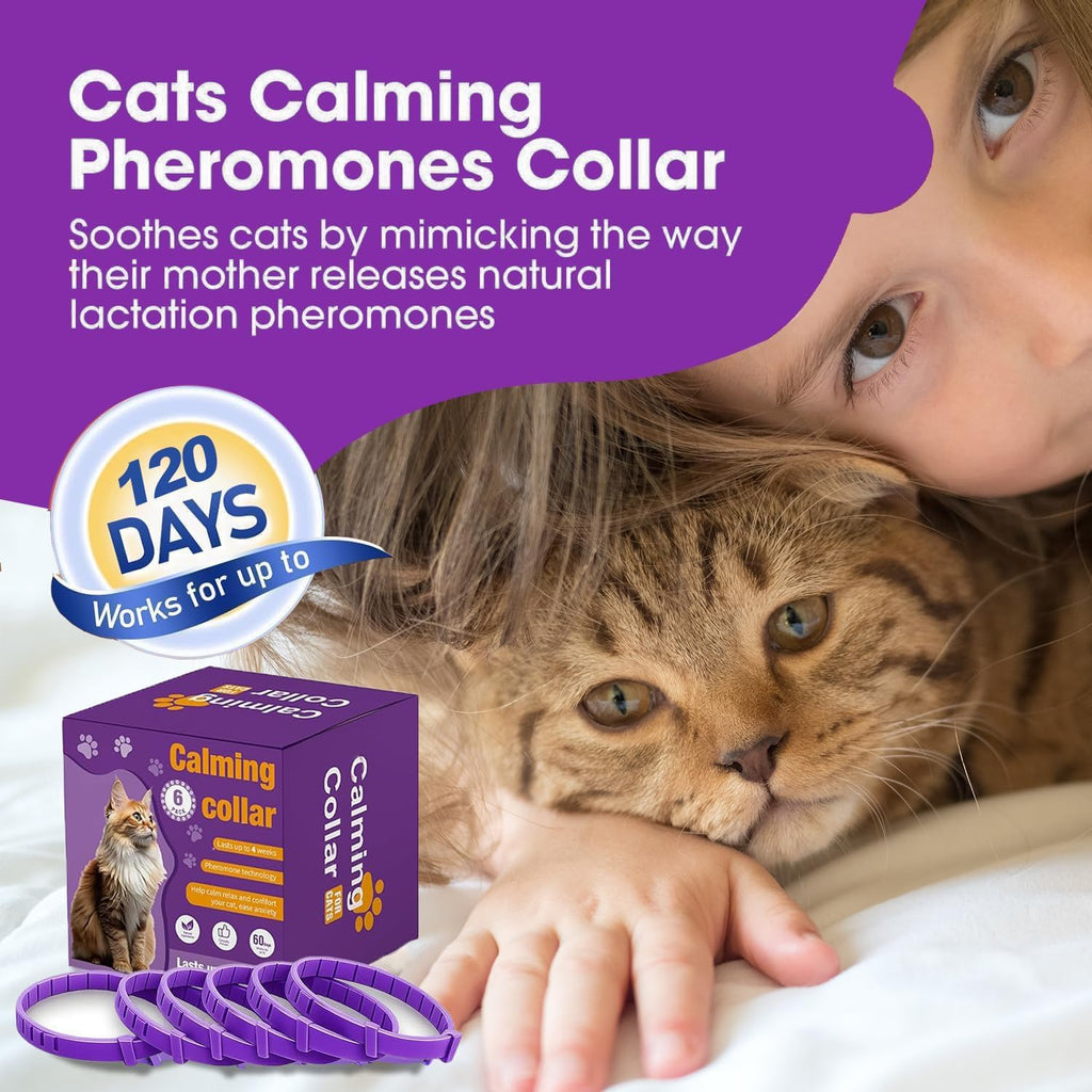 The complete six-pack set of individually wrapped purple cat calming collars.