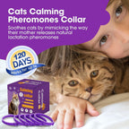 The complete six-pack set of individually wrapped purple cat calming collars.