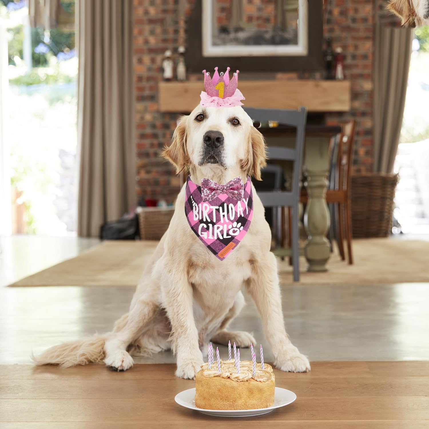 Adoggygo extra large dog birthday bandana in pink plaid pattern.