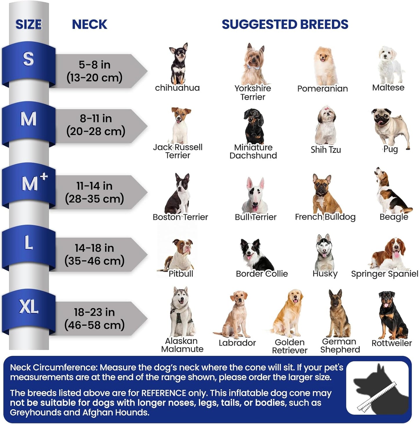 Comfortable grey E collar for dogs allowing unhindered eating and drinking post surgery