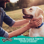 Dingo USA imported dog treats container back label with ingredients.