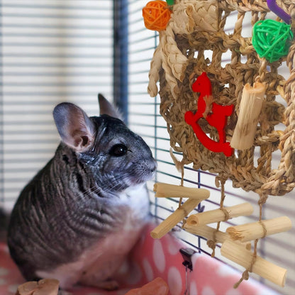 Detail shot of the woven seagrass mat and attached loofah slices for chinchillas.