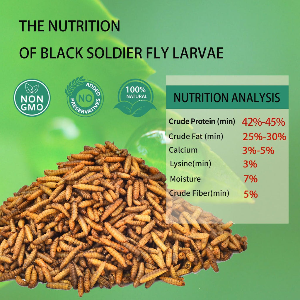 Hatortpet dried black soldier fly larvae nutritional details