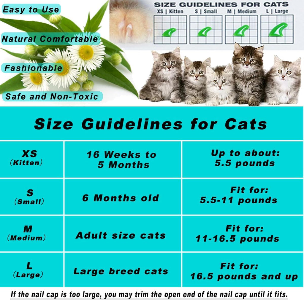 Medium size transparent cat nail caps application demonstration