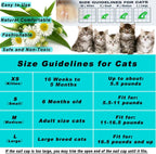 Medium size transparent cat nail caps application demonstration