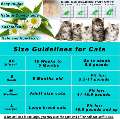 Medium size transparent cat nail caps application demonstration