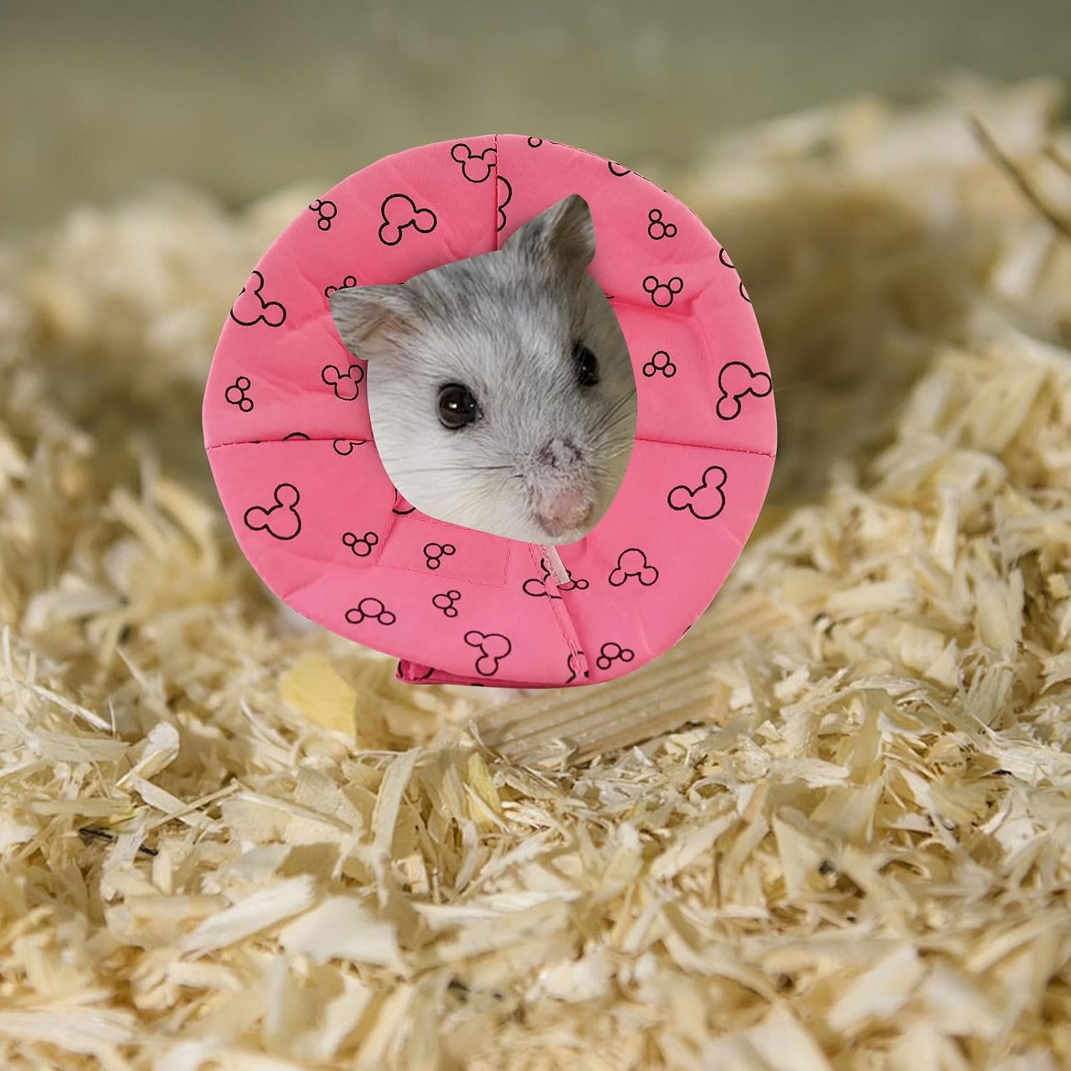 Andiker rabbit post surgery collar demonstrating the secure paste sticker mechanism