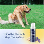Honest Paws waterless pet shampoo packaging highlighting its paraben free and sulfate free features
