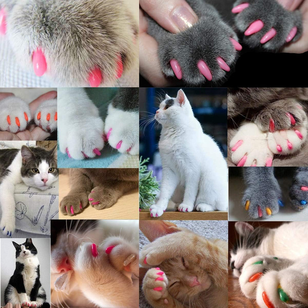 Victhy medium colorful soft claw covers assortment