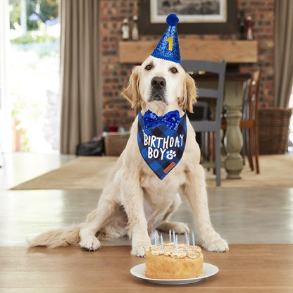 ADOGGYGO extra large dog birthday outfit with blue boy bandana and sparkly sequin bowtie.