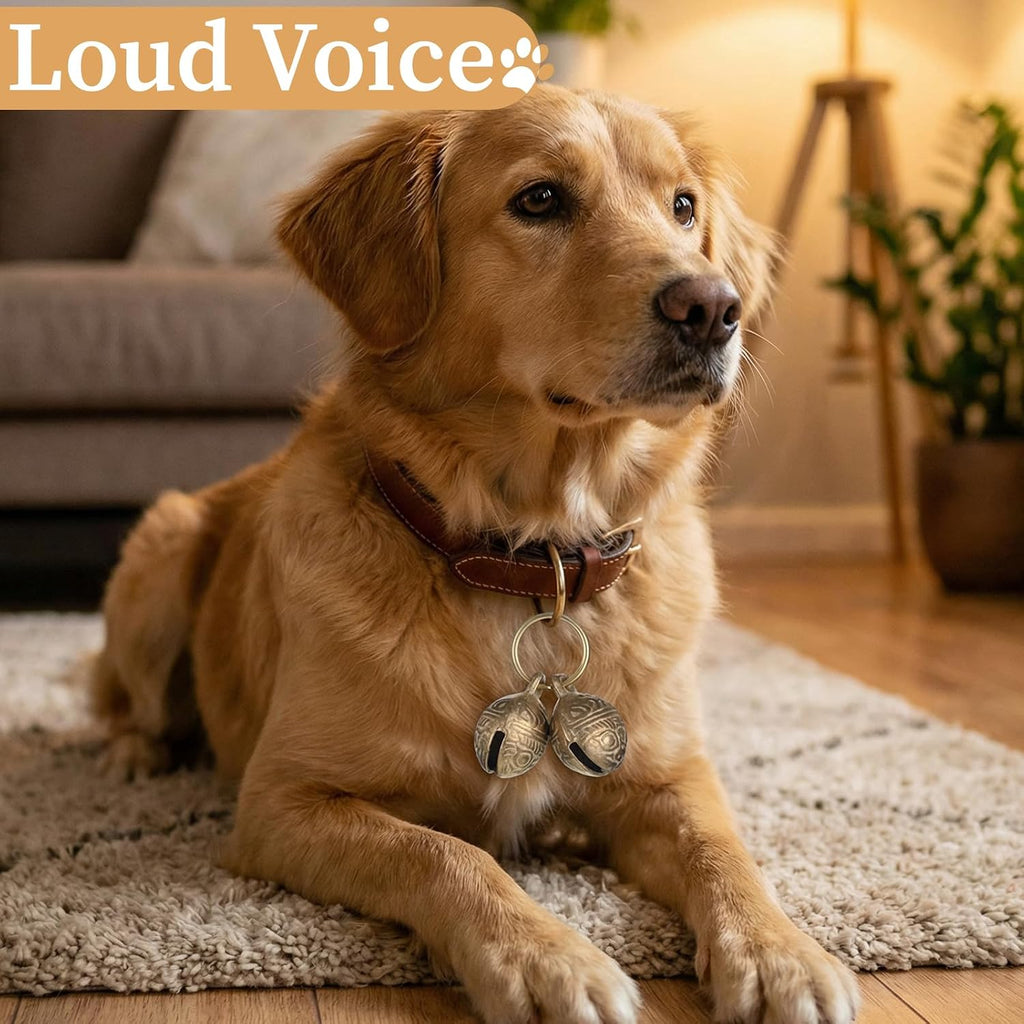 Brass bells attached to dog collar pendant accessory