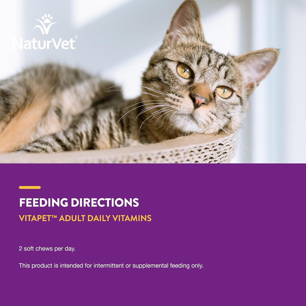 NaturVet wheat-free cat soft chews container in hand