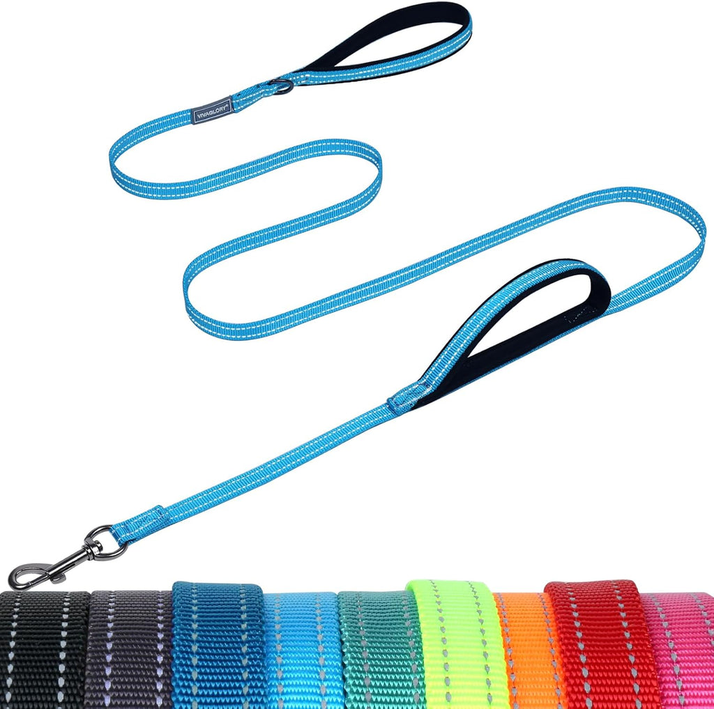 Packaging view of the Vivaglory Twingrip double loop safety dog leash with reflective strips for nighttime walking.