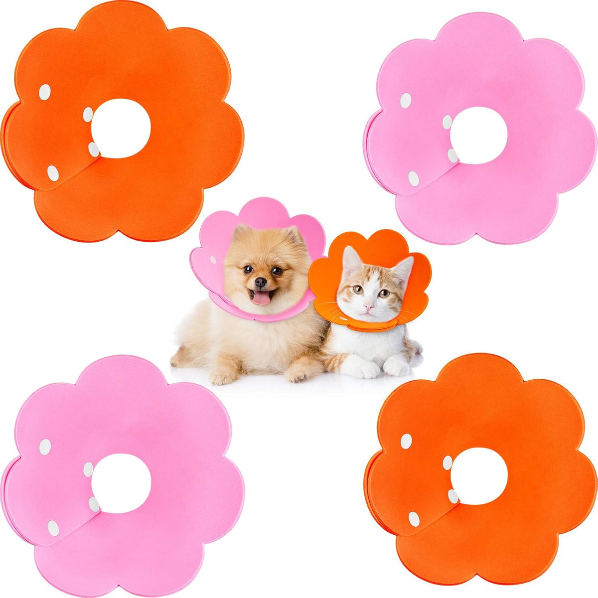 Weewooday flower cat recovery collar pink front view on kitten