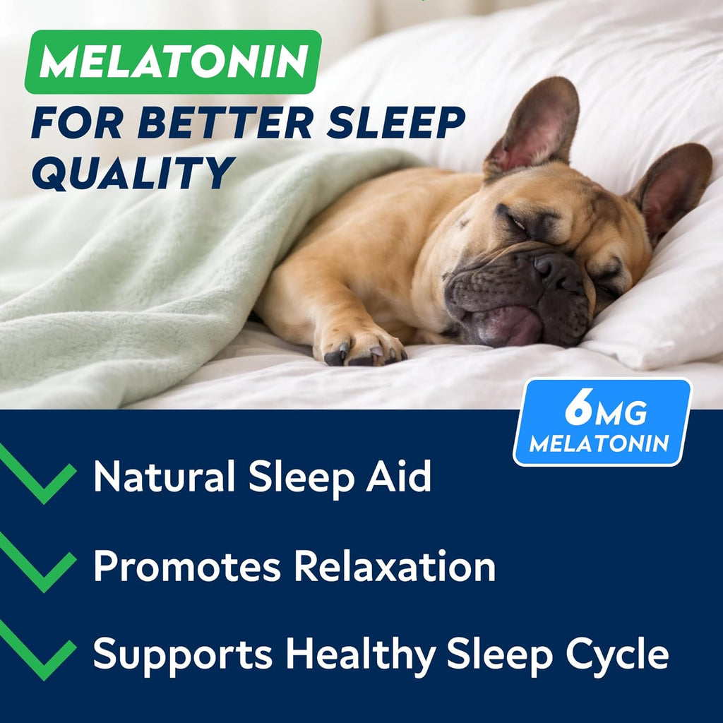 Dog eating StrellaLab melatonin calming chew treat