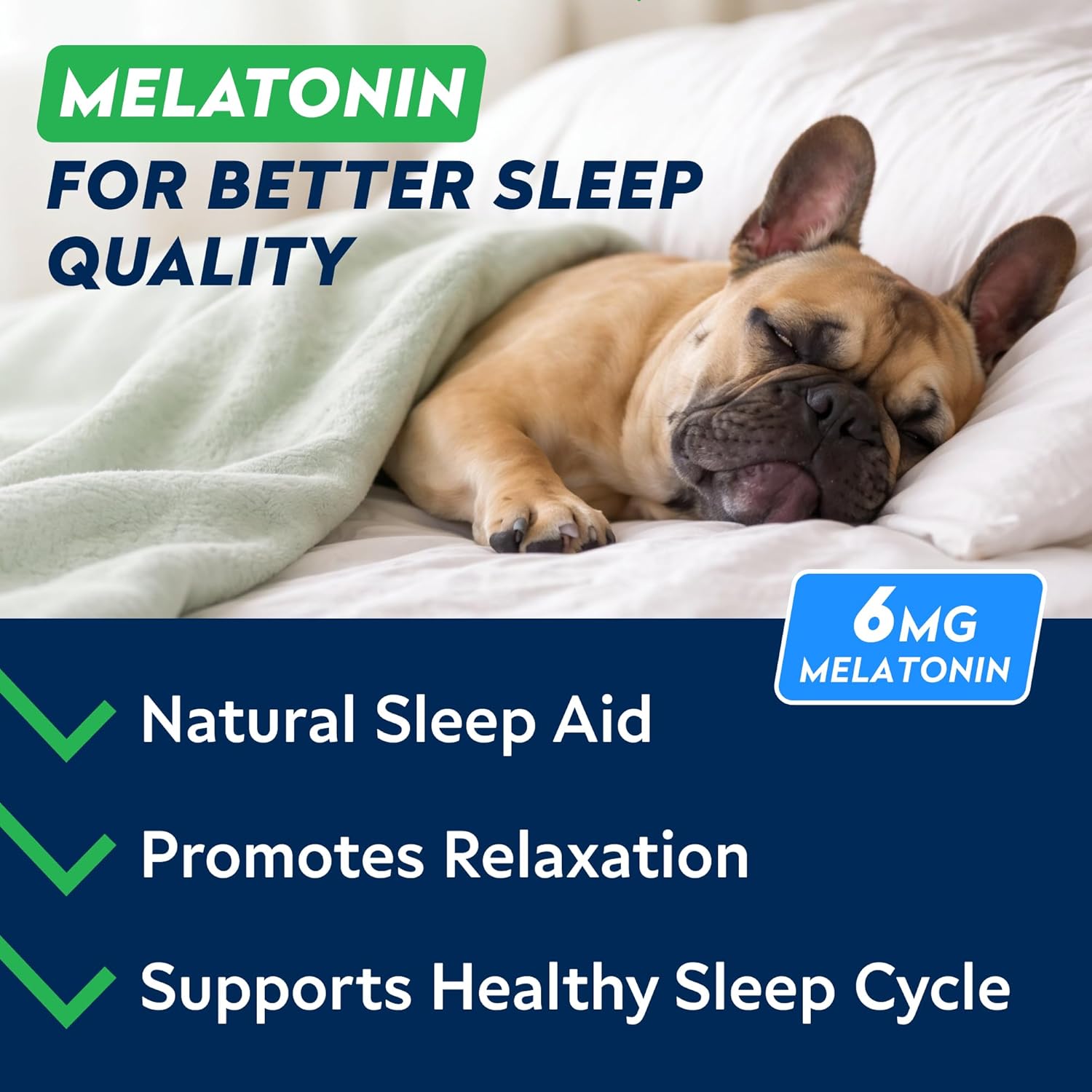 Dog eating StrellaLab melatonin calming chew treat
