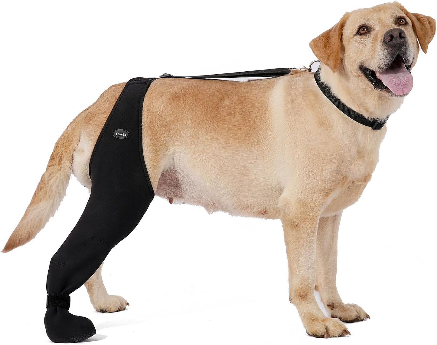 Dog Socks to Prevent Licking Paws Breathable Leg Sleeve to Stop Licking and Biting Firm and Secure Adjustable Size Dog Recovery Sleeve Socks (XL-Left) - Image 10