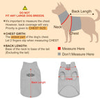 Back view of Beautyzoo dog jacket showing bones pattern