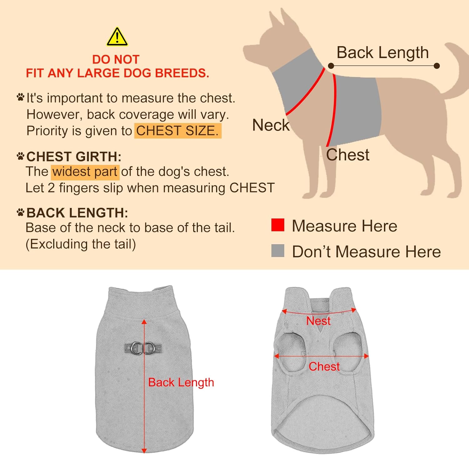 Back view of Beautyzoo dog jacket showing bones pattern