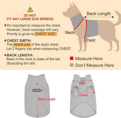 Back view of Beautyzoo dog jacket showing bones pattern