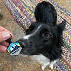 PetANTastic noiseless pet tag highlighting the flexible premium silicone material.