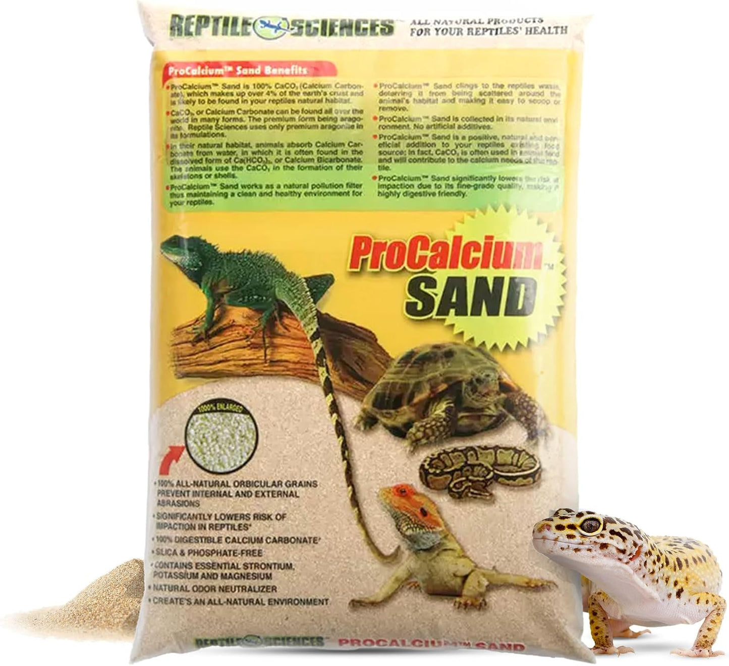 Clean and safe blue terrarium bedding for tortoises and lizards