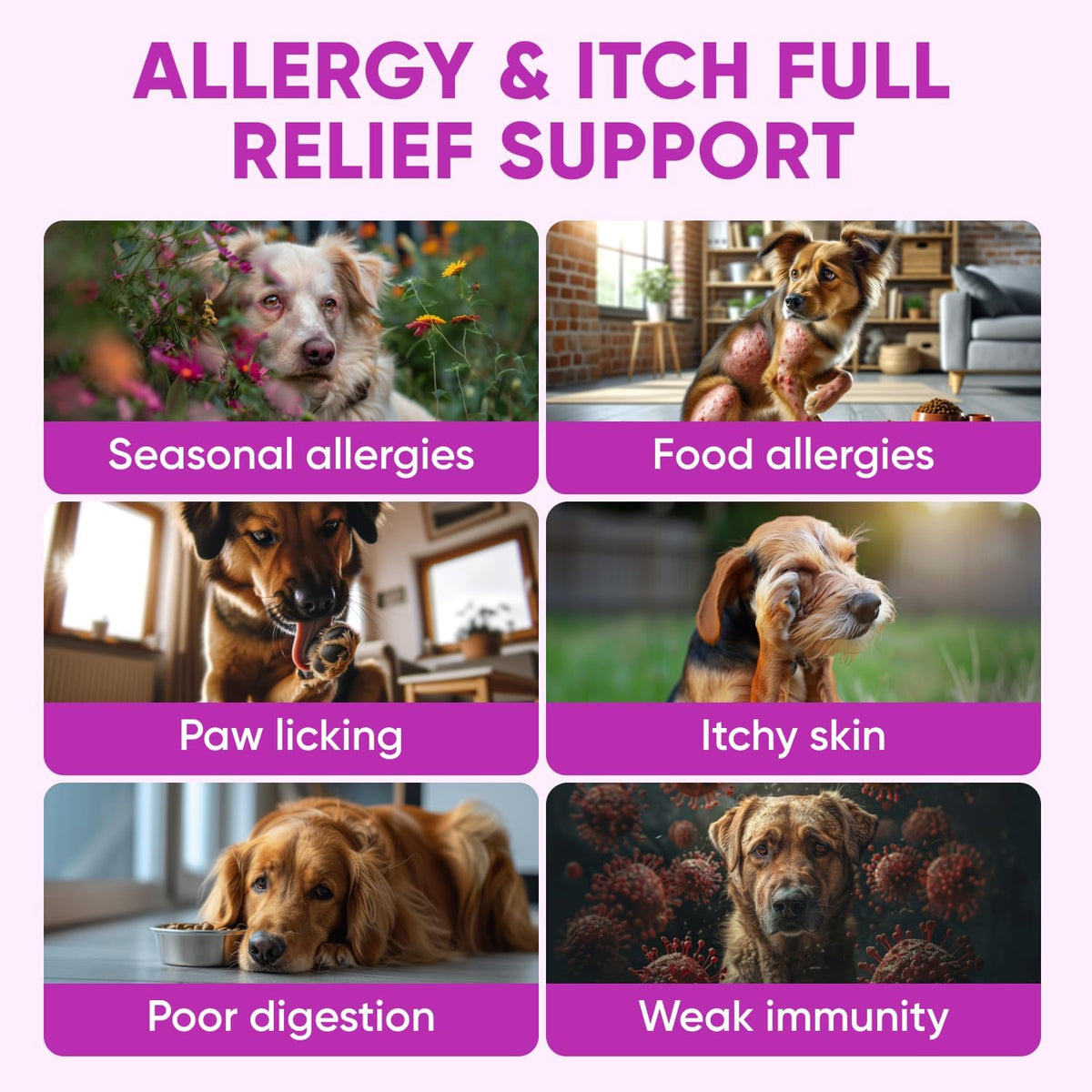 Pawzitive Pets 120 soft chews for seasonal and food allergy relief.