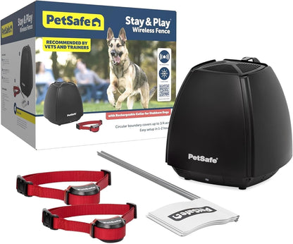 Authentic PetSafe stubborn dog collar strap and buckle detail