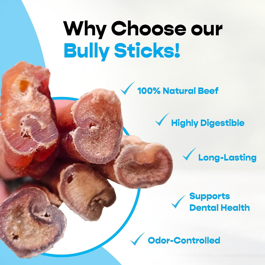 Five pack of Mighty Chewz beef pizzle sticks for dogs