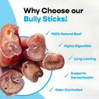 Five pack of Mighty Chewz beef pizzle sticks for dogs
