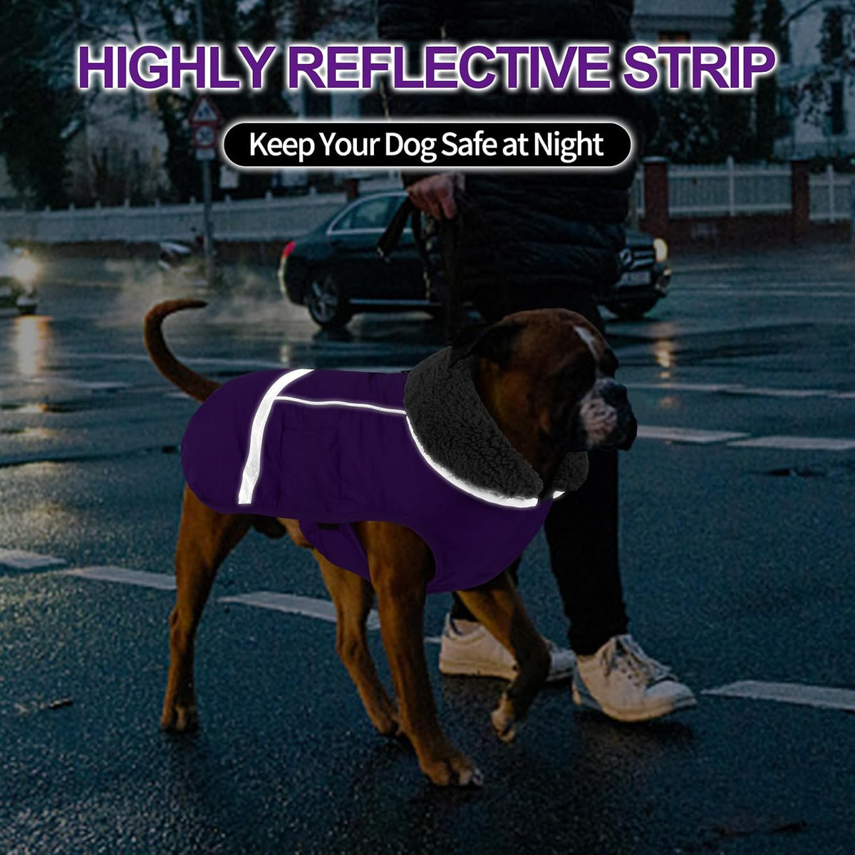 Doglay winter dog coat back showing waterproof zipper detail
